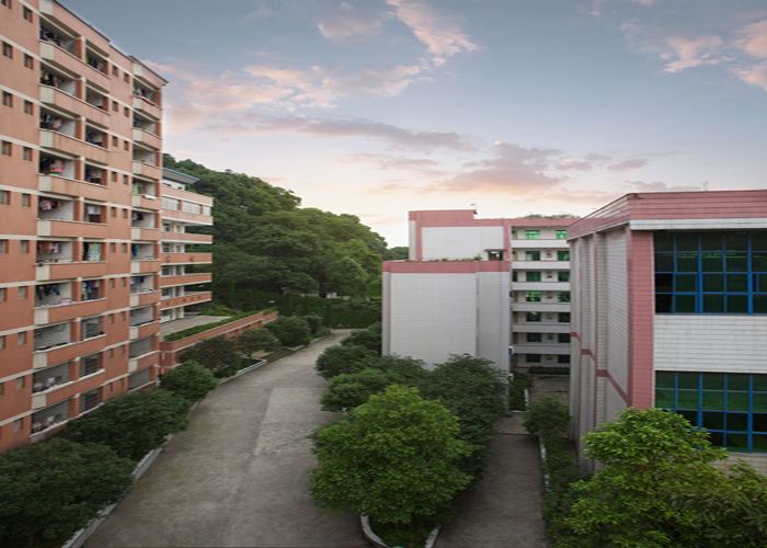 重庆市南丁卫生职业学校